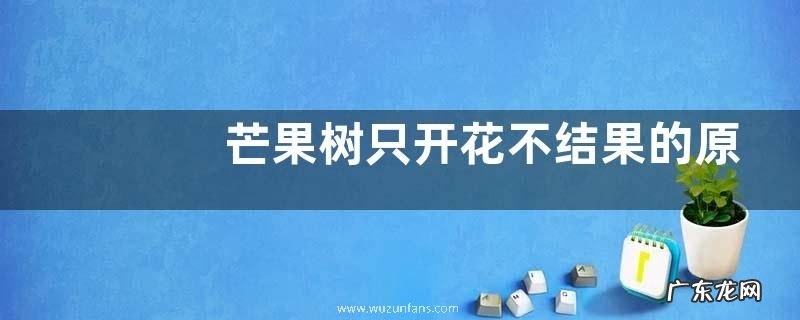 芒果树只开花不结果的原因，附防治方法