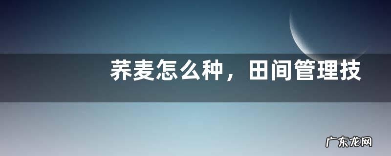 荞麦怎么种,田间管理技术