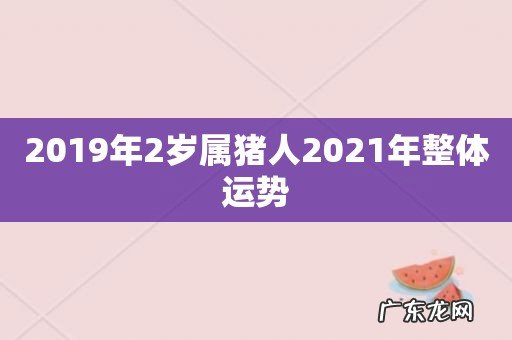 2019年2岁属猪人2021年整体运势