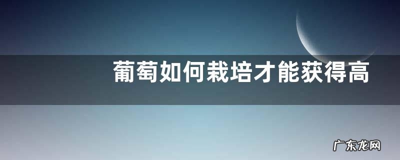 葡萄如何栽培才能获得高产,这四点是关键