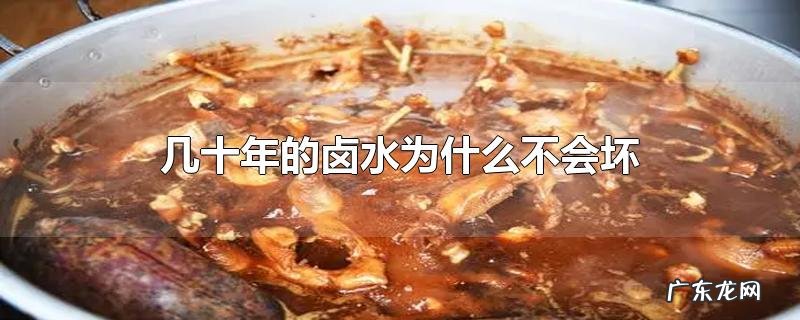 几十年的卤水为什么不会坏