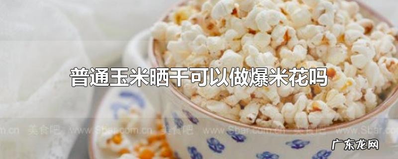 普通玉米晒干可以做爆米花吗