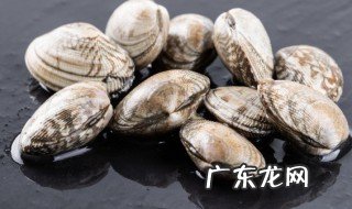 花甲放冷藏还是冷冻 花甲如何存放好