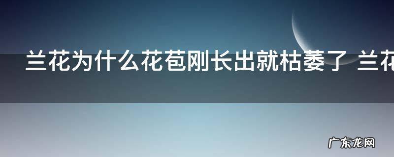 兰花为什么花苞刚长出就枯萎了 兰花花苞长出就枯萎了的原因以及解决方法