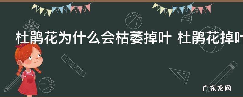 杜鹃花为什么会枯萎掉叶 杜鹃花掉叶子的原因