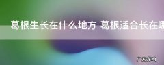 葛根生长在什么地方 葛根适合长在哪个地区