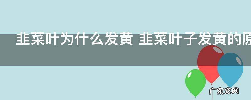 韭菜叶为什么发黄 韭菜叶子发黄的原因