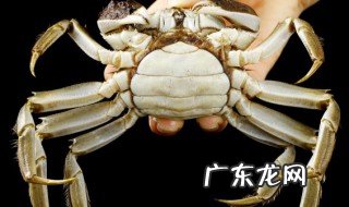 螃蟹冷藏还是冷冻 螃蟹冷藏保存吗