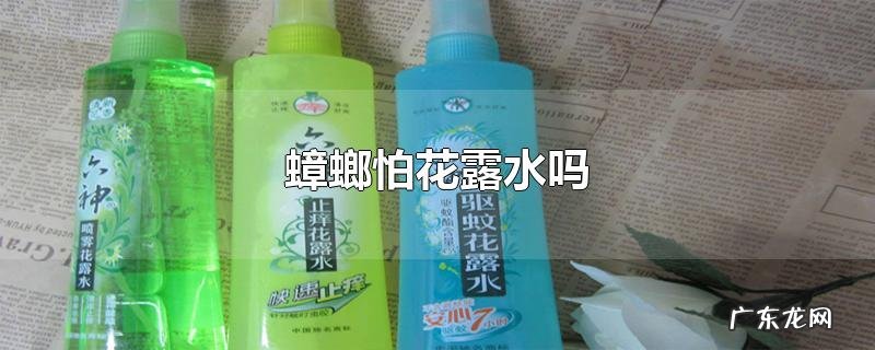 蟑螂怕花露水吗