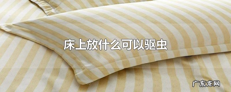 床上放什么可以驱虫