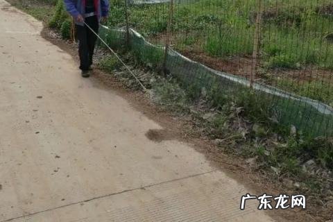 敌草快除草剂使用方法