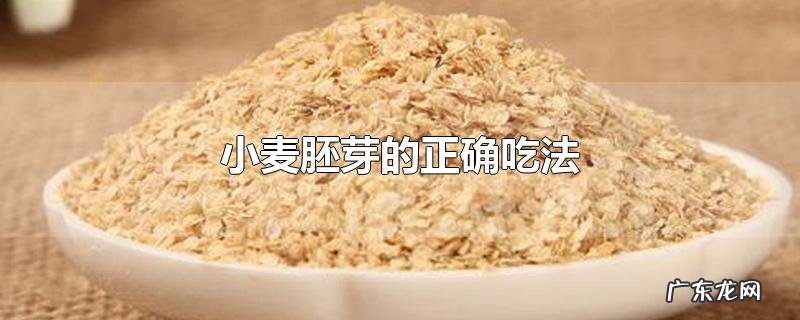 小麦胚芽的正确吃法