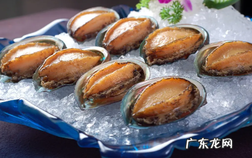 冷冻鲍鱼先解冻还是先煮一下