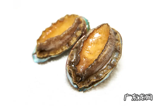 冷冻鲍鱼先解冻还是先煮一下