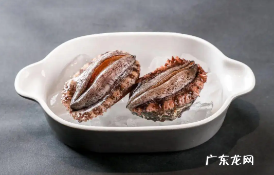 冷冻鲍鱼先解冻还是先煮一下