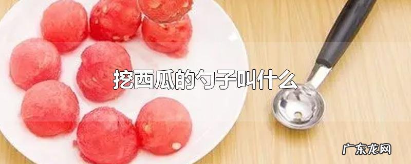 挖西瓜的勺子叫什么