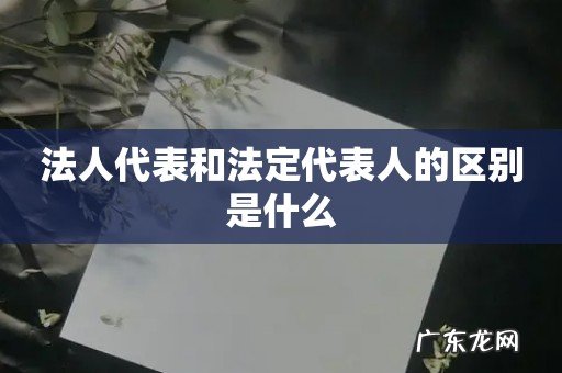 法人代表和法定代表人的区别是什么