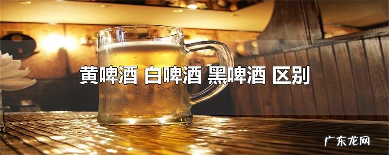 黄啤酒 白啤酒 黑啤酒 区别