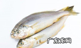 超市冷冻的鱼是处理好的吗 超市冷冻的鱼是不是处理好的