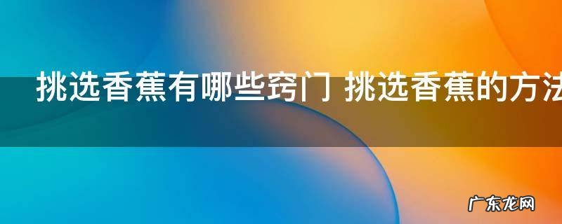 挑选香蕉有哪些窍门 挑选香蕉的方法