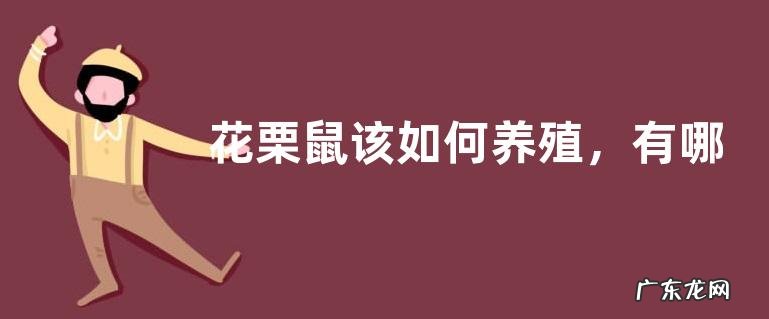 花栗鼠该如何养殖，有哪些养殖要点