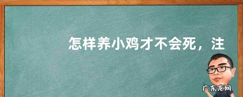 怎样养小鸡才不会死,注意做好这几点