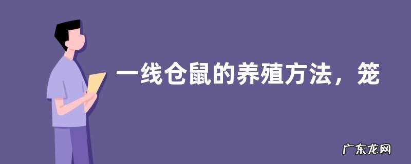 一线仓鼠的养殖方法,笼子、温度、喂饲要求