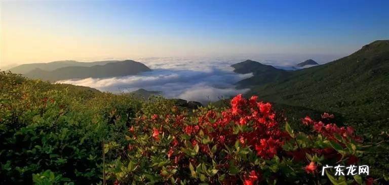 凤凰山风水宝地 映山红风水宝地
