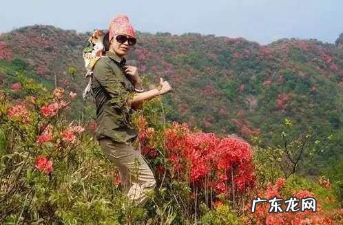 凤凰山风水宝地 映山红风水宝地