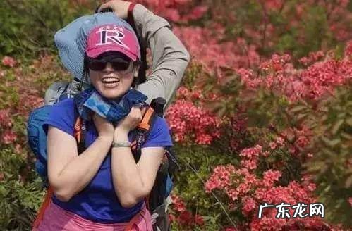 凤凰山风水宝地 映山红风水宝地