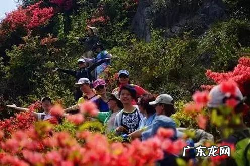 凤凰山风水宝地 映山红风水宝地