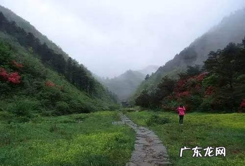 凤凰山风水宝地 映山红风水宝地