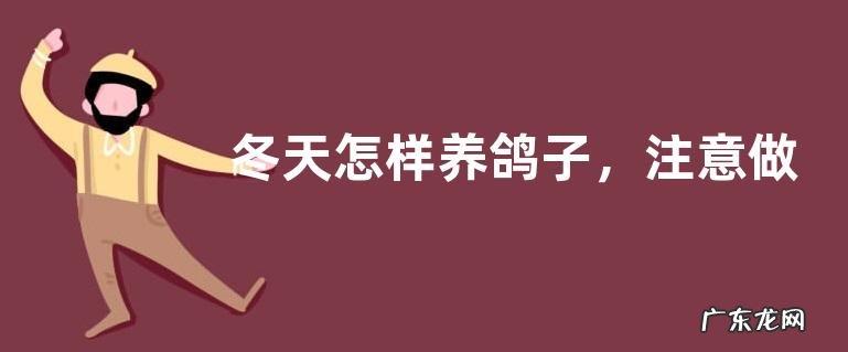 冬天怎样养鸽子,注意做好这几点