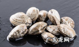 花甲产地在哪里 花甲产自哪里呢