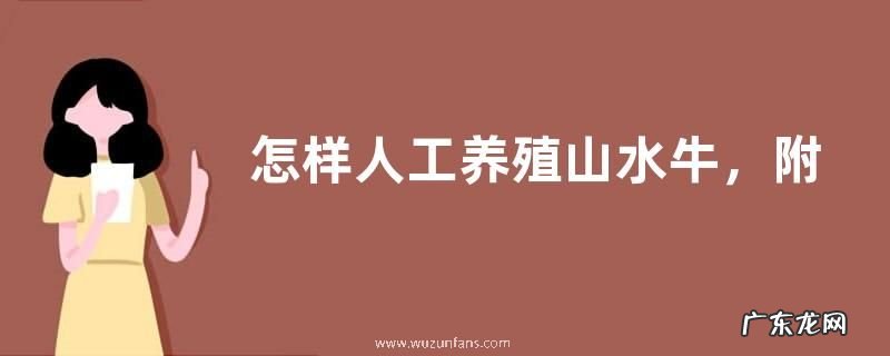 怎样人工养殖山水牛，附山水牛的生活习性