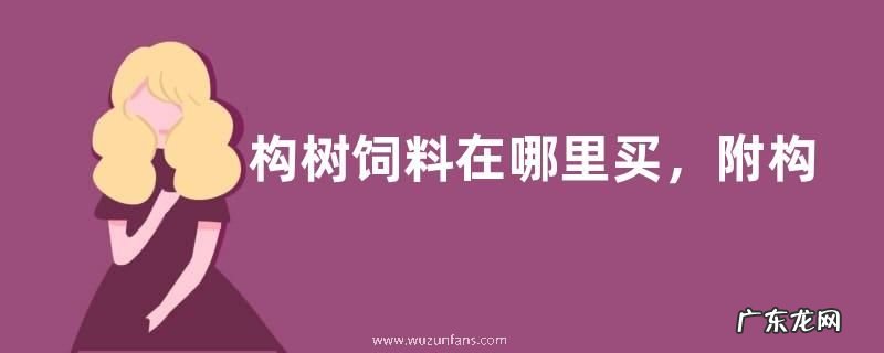 构树饲料在哪里买,附构树的价值