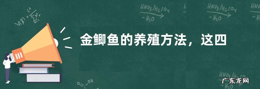金鲫鱼的养殖方法，这四点是关键