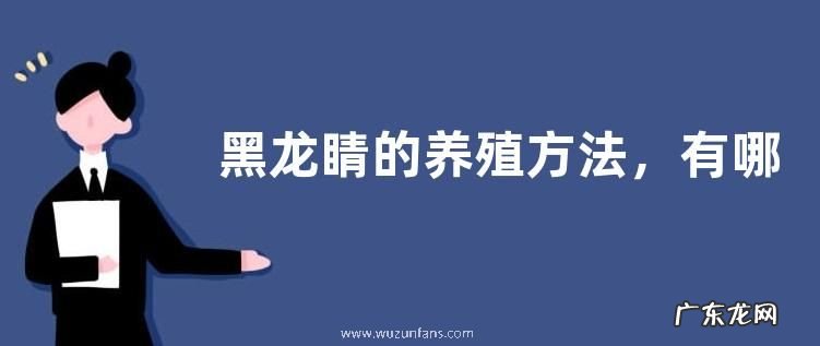 黑龙睛的养殖方法,有哪些要点