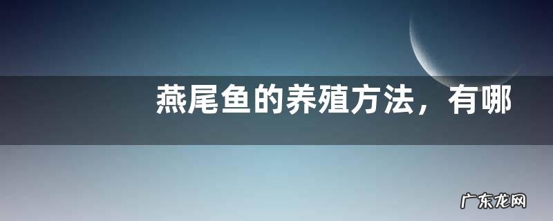 燕尾鱼的养殖方法,有哪些要点