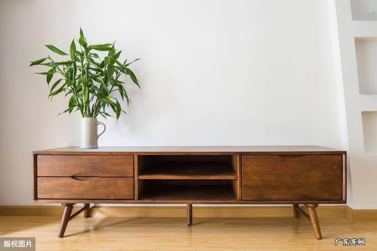 电视柜旁边放什么绿植 电视柜上放什么绿植风水好