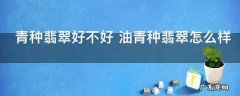 青种翡翠好不好 油青种翡翠怎么样