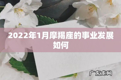 2022年1月摩羯座的事业发展如何