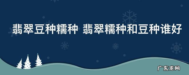 翡翠豆种糯种 翡翠糯种和豆种谁好