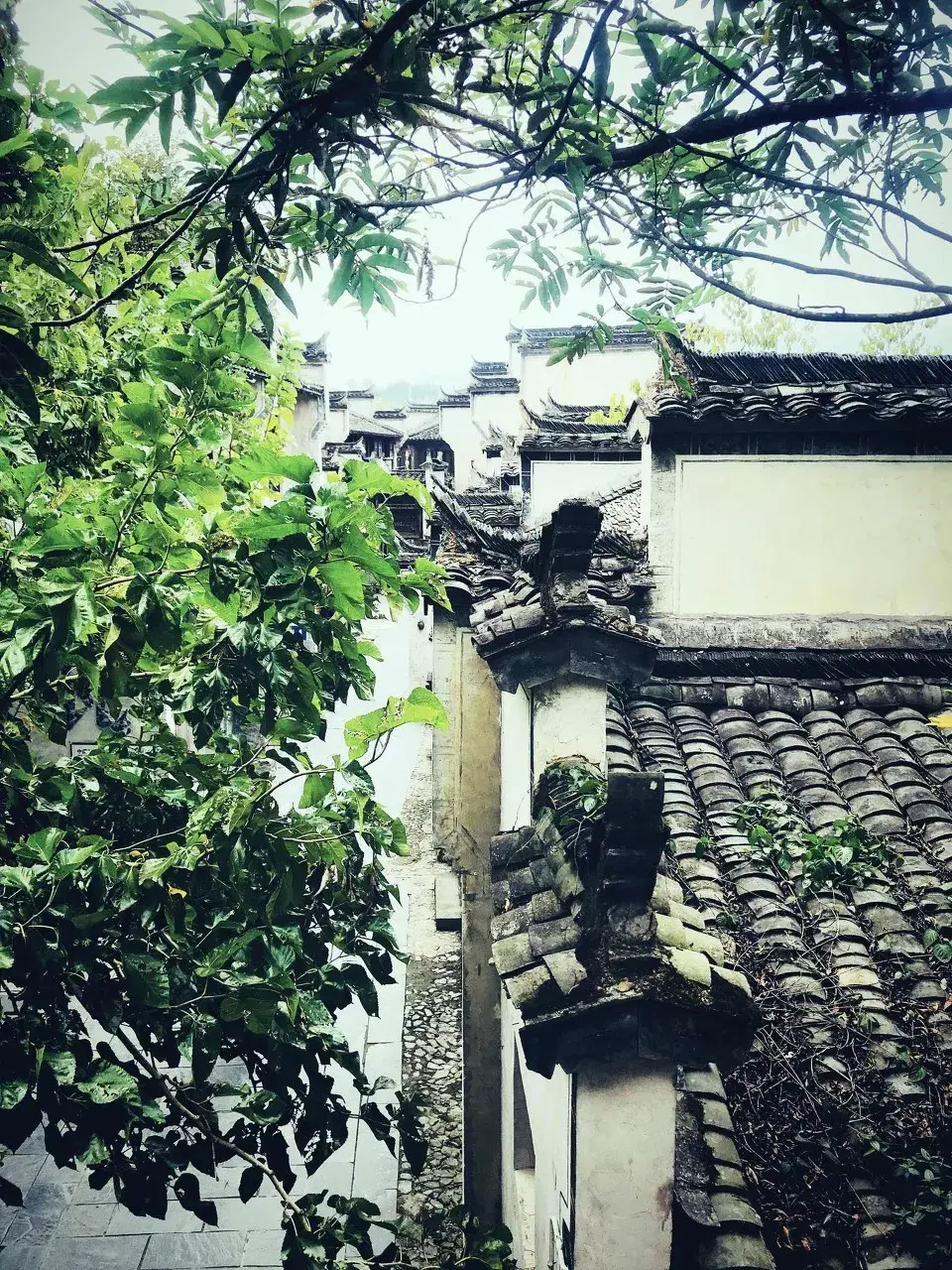 风水小农民 风水与村落全集