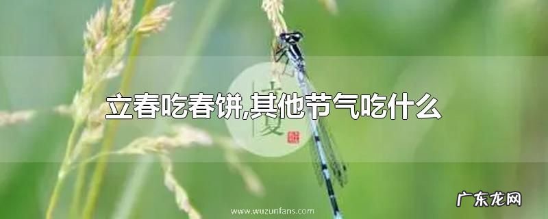 立春吃春饼,其他节气吃什么