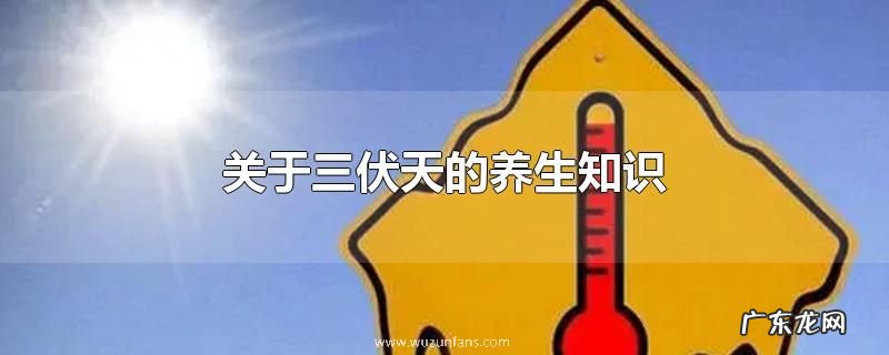 关于三伏天的养生知识