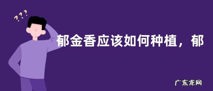 郁金香应该如何种植,郁金香花开后怎么处理