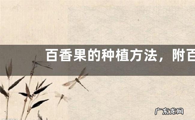 百香果的种植方法,附百香果苗高产种植要求