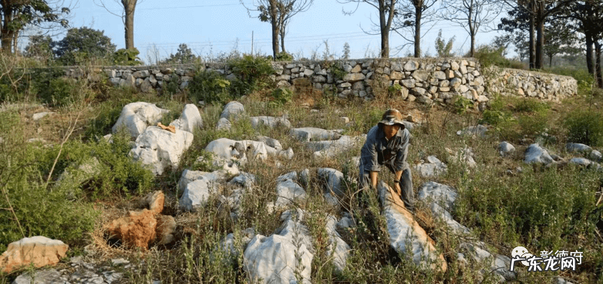 太行石图片 太行石风水作用
