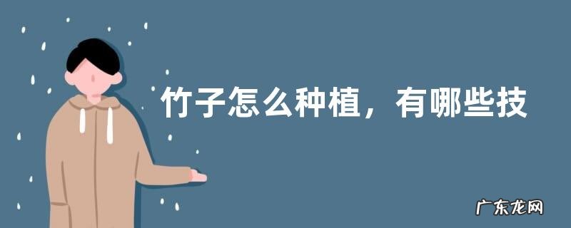 竹子怎么种植,有哪些技术要点